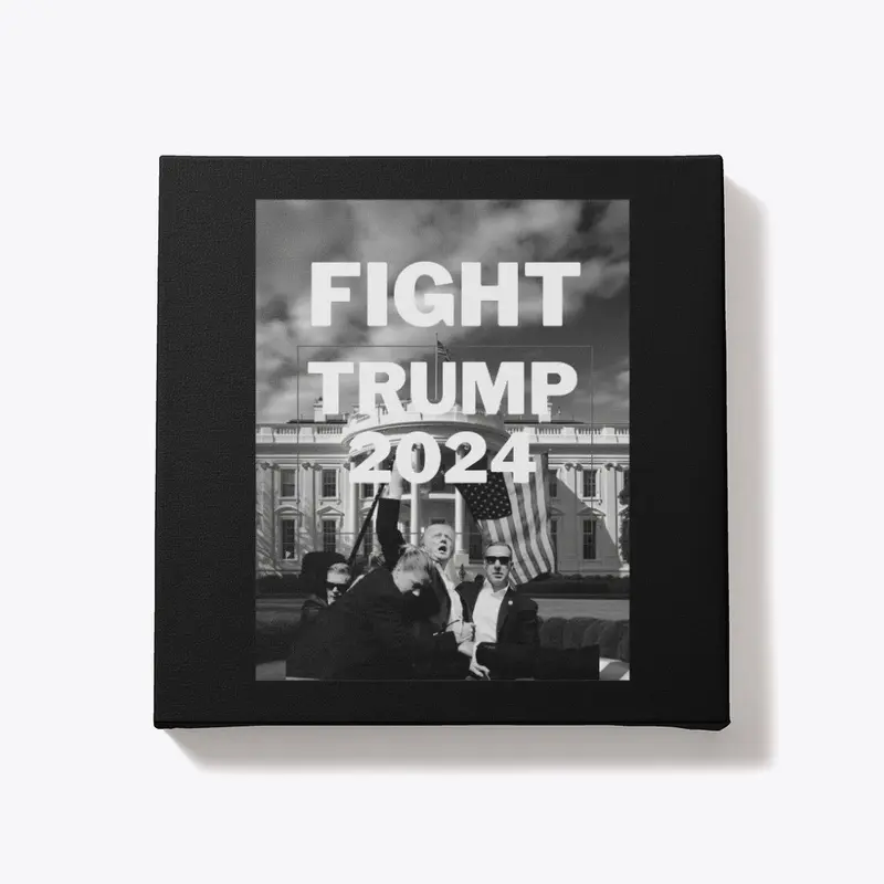 Donald Trump Fight 2024